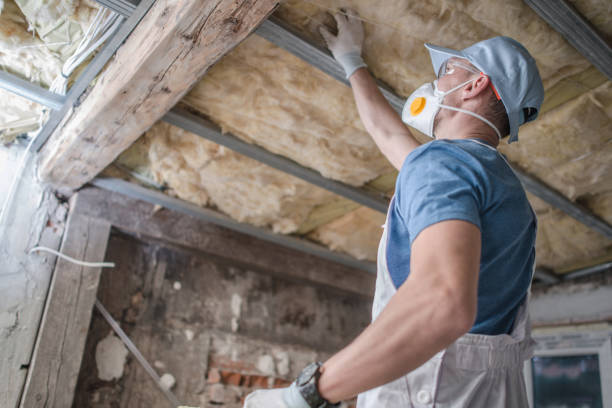 Best Eco-Friendly Insulation in Vineyard, CA