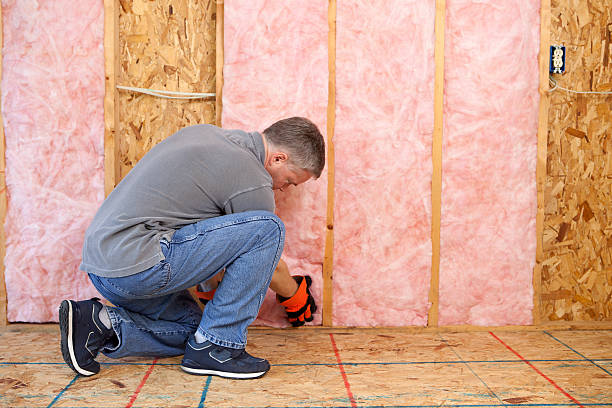 Types of Insulation We Offer in Vineyard, CA